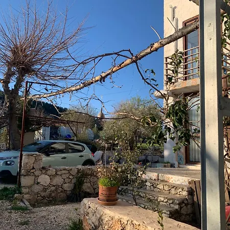 Mozaik Kaş